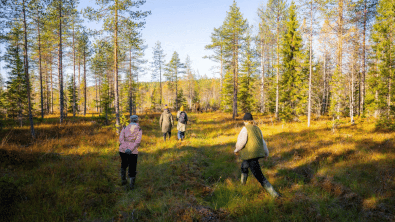 Ihmisiä kävelemässä suolla.