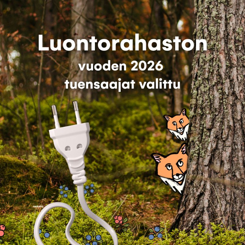 Oomin Luontorahaston vuoden 2026 tuensaajat on nyt valittu 💚Vuonna 2026 Oomin Luontorahaston tuella mahdollistetaan paikallisia luontohankkeita eri puolilla Suomea. Saimme ison kasan huolella mietittyjä ja tärkeitä kehityskohteita nostavia hakemuksia. Kiitos siis ihan jokaisesta.💛Tämän vuoden tuensaajiksi valittuja hankkeita yhdistää tekemisen käytännöllisyys. Luontotyö näkyy esimerkiksi vieraslajien torjuntana, niittyjen perustamisena, vesistöjen kunnostamisena sekä lajiston kartoituksina ja seurantana. Valituissa kohteissa näkyy myös luontokasvatus, yhteisöllisyys ja talkoohenki. Maantieteellisesti valitut hankkeet jakautuvat eri puolille Suomea.Valitut kohteet löydät verkkosivuiltamme: https://lnkd.in/d9yfKAB4#oomi #luontorahasto